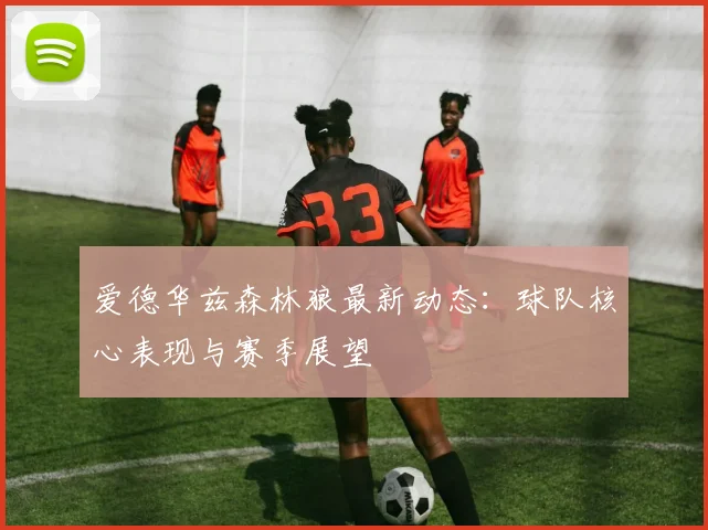 爱德华兹森林狼最新动态：球队核心表现与赛季展望