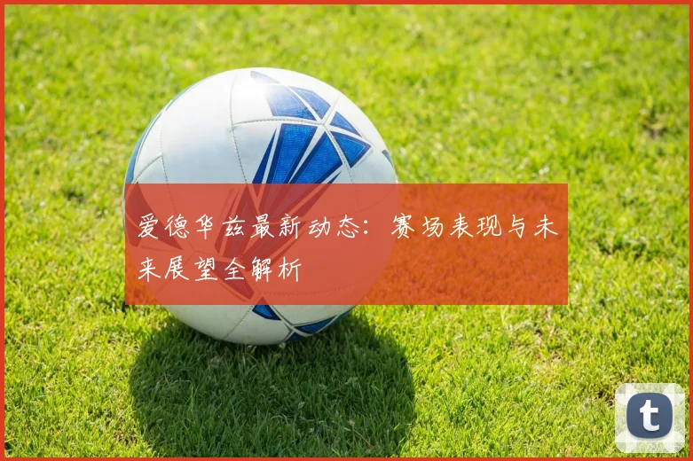 爱德华兹最新动态：赛场表现与未来展望全解析