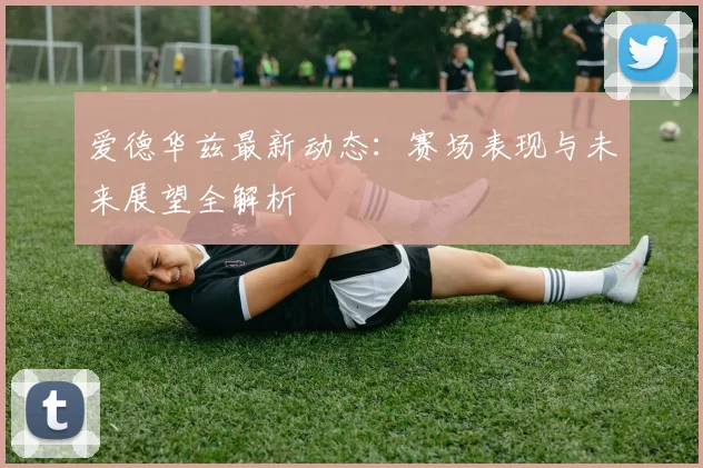 爱德华兹最新动态：赛场表现与未来展望全解析